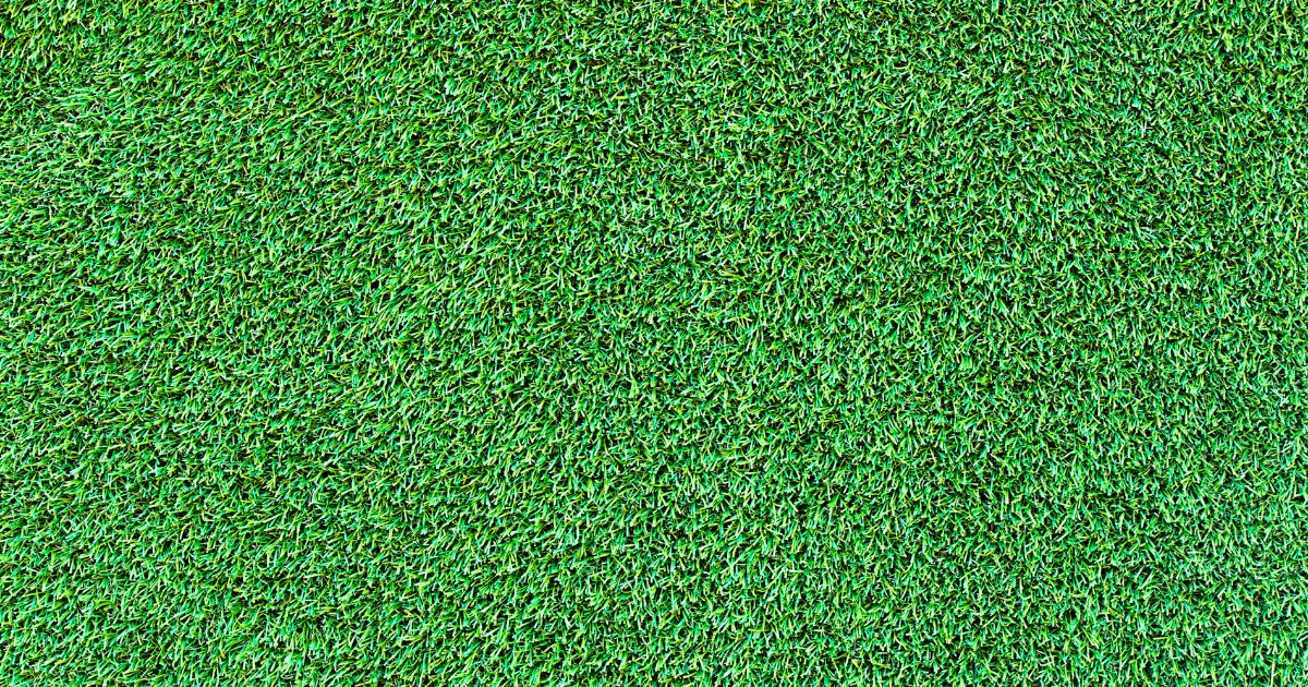 Close-up of dense bright green artificial turf blades.