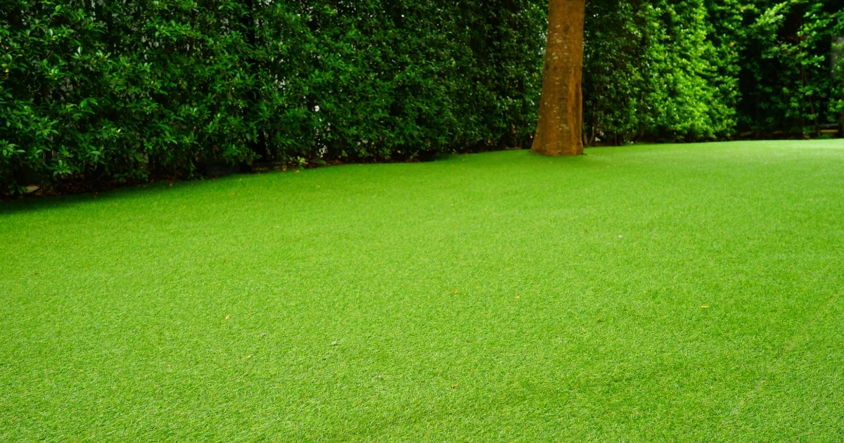 artificial grass for backyard — supporting image 2