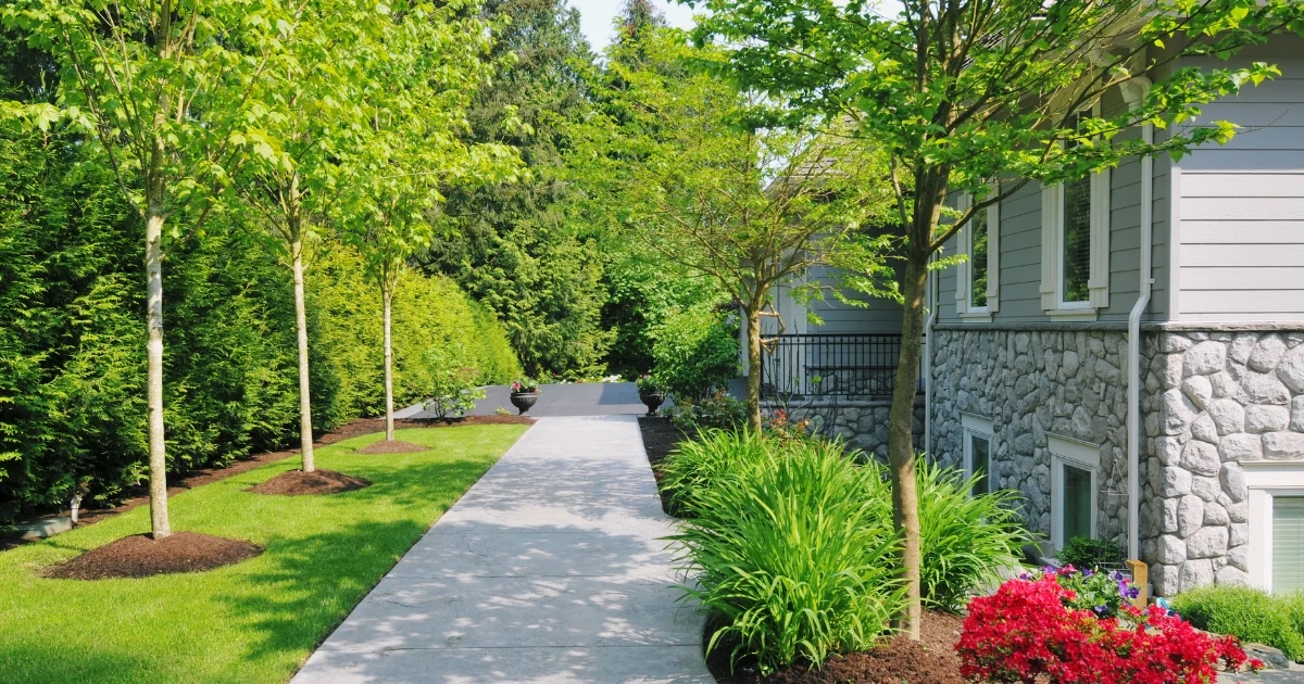 artificial grass and paving ideas — featured image