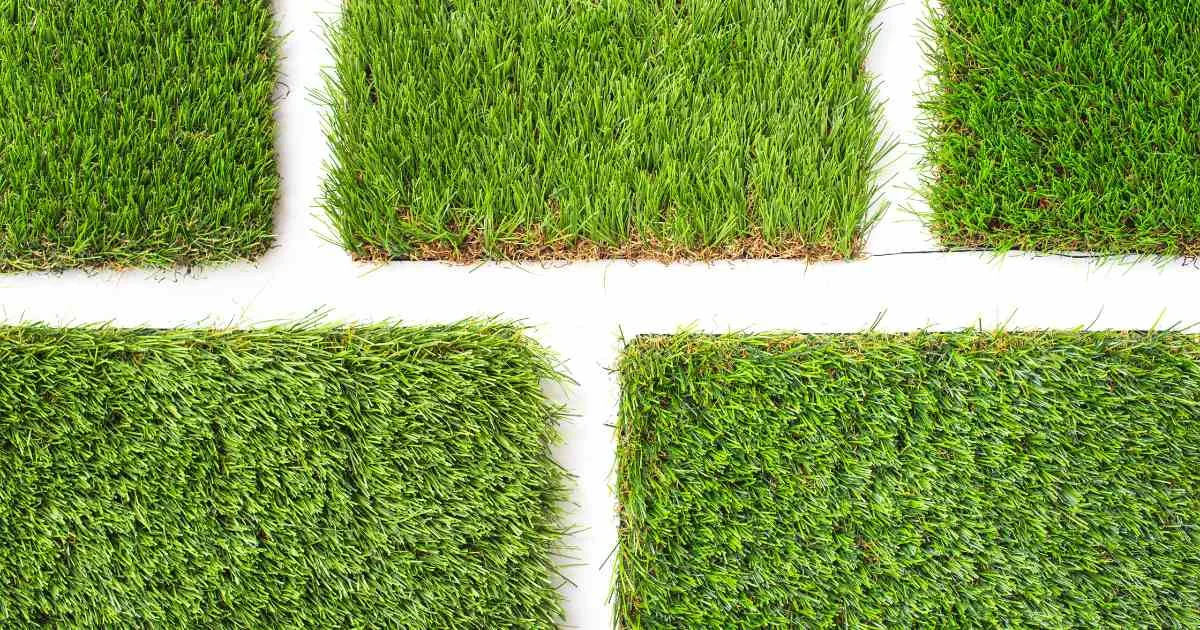 outdoor fake grass — featured image