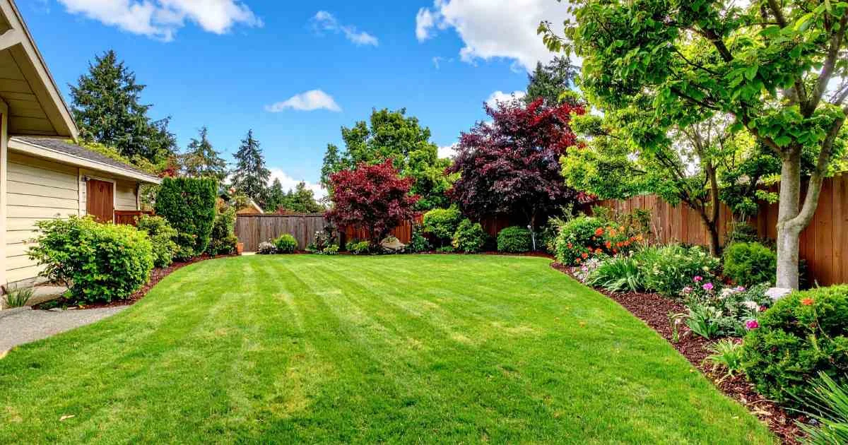 how long does turf last — featured image