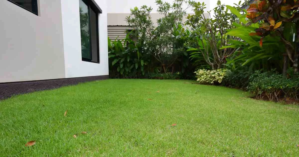 how long does turf last — supporting image 2