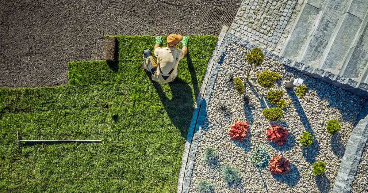 how long does turf last — supporting image 1