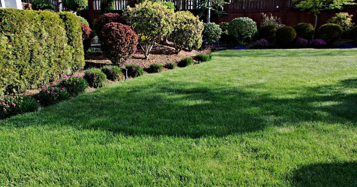best artificial turf for backyard — featured image