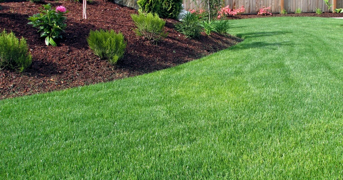 best artificial turf for backyard — supporting image 2