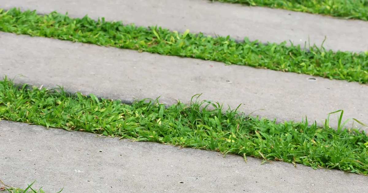pavers with grass in between — supporting image 1