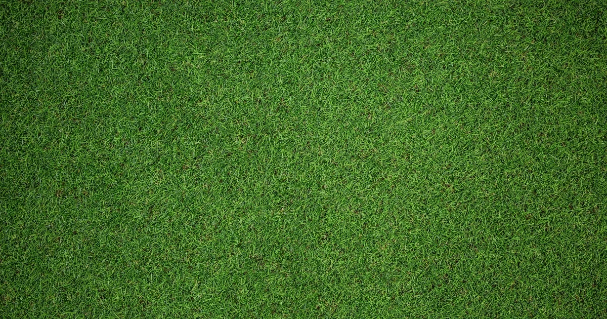 what is the difference between turf and artificial grass — supporting image 1