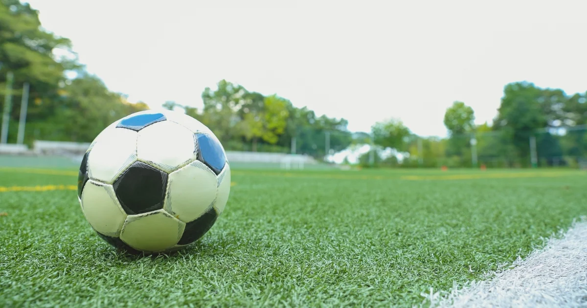 what is the difference between turf and artificial grass — featured image