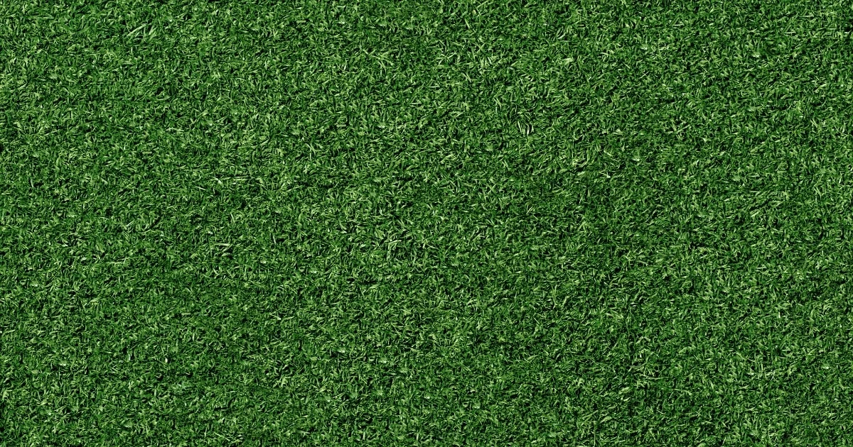 pros and cons of artificial grass — supporting image 1