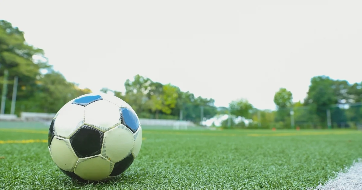 sports turf — supporting image 1