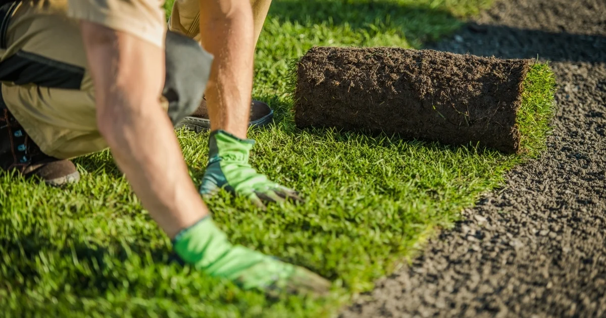 what is turf made out of — supporting image 2