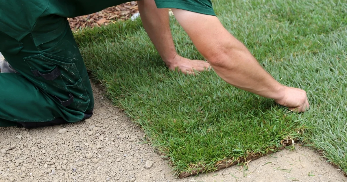 what is turf made out of — supporting image 1